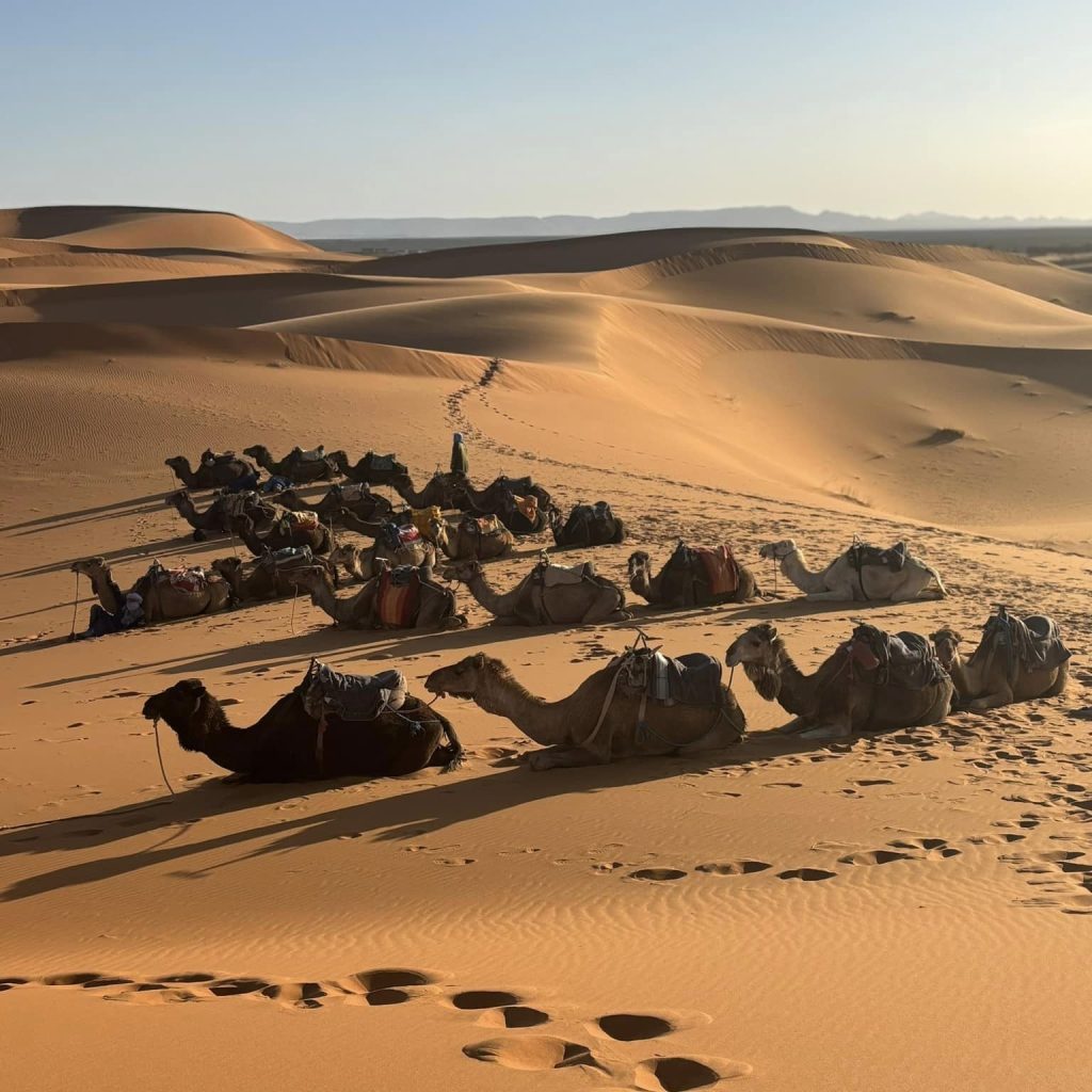 442484963_10227845372054241_2647029124626355725_n